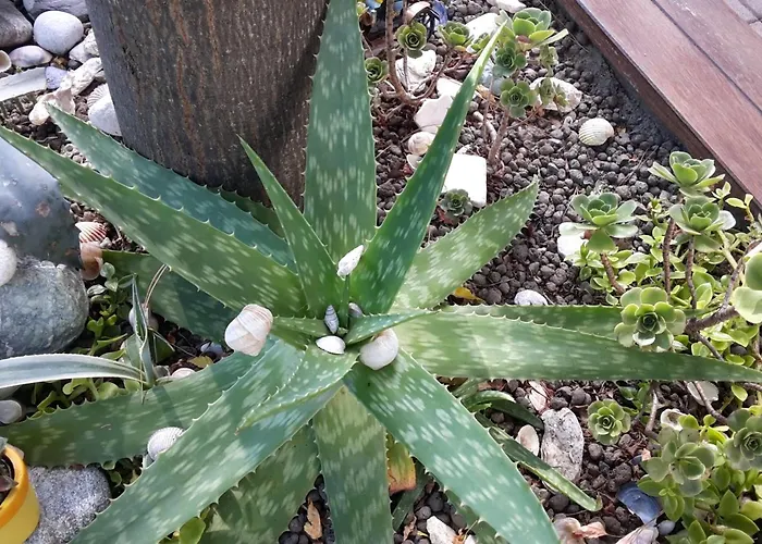 Szálloda Atlantic 3*